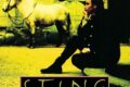 Musical Disclosure — Episodio 2: Sting