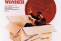 Musical Disclosure — Episodio 43: Stevie Wonder